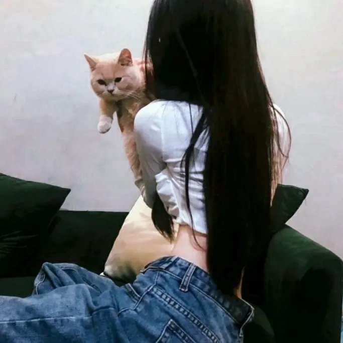 龙城谜案